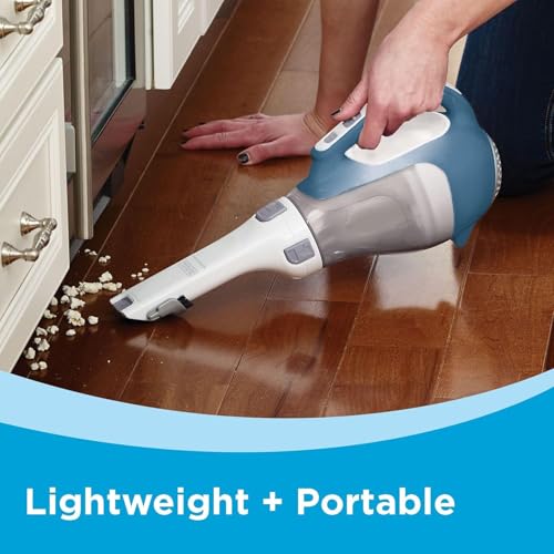 Best Car Vacuum For Dirt