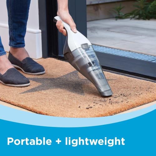 Best Car Vacuum For Sand And Dirt